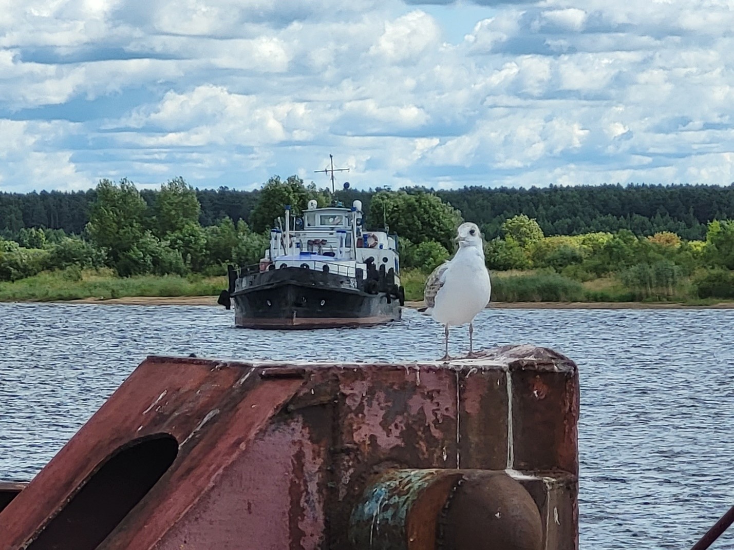 Экскурсии в Мышкине